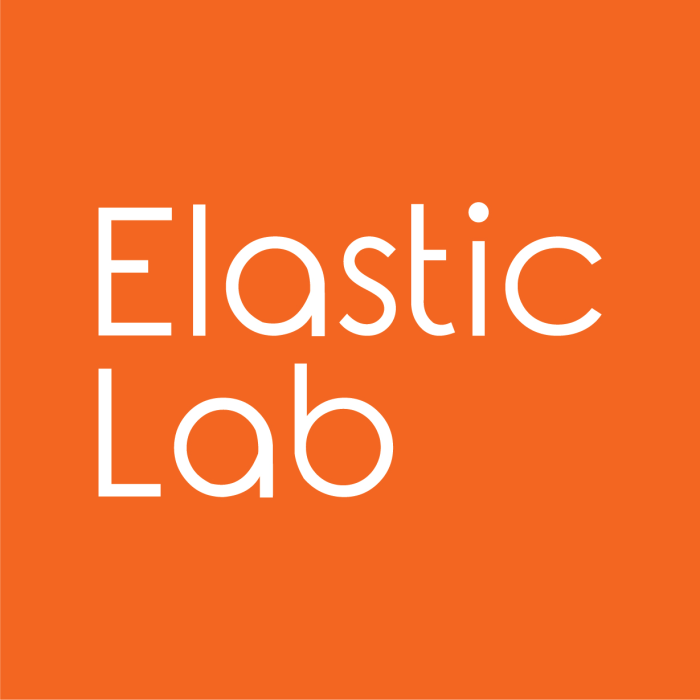 ELASTIC LAB INC.